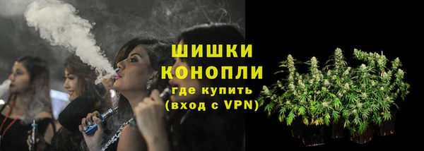 дмт Алзамай