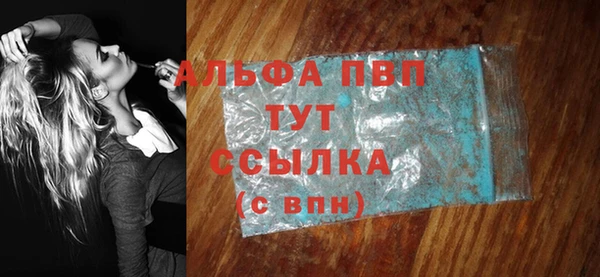 стафф Алексин