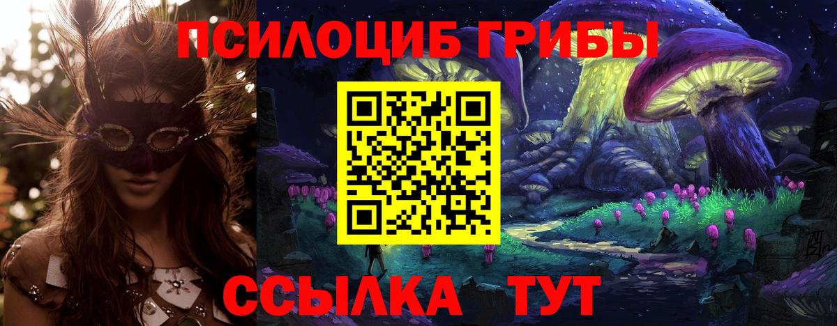 Псилоцибиновые грибы прущие грибы  Вход с VPN  Кореновск  Галлюциногенные грибы Psilocybine cubensis 
